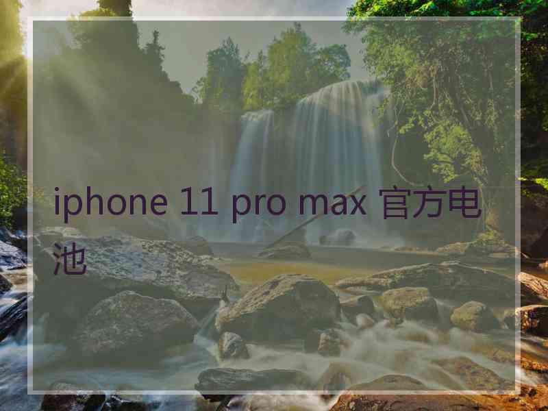 iphone 11 pro max 官方电池