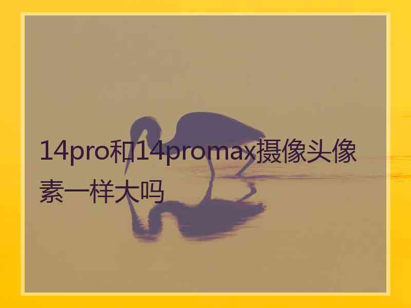 14pro和14promax摄像头像素一样大吗