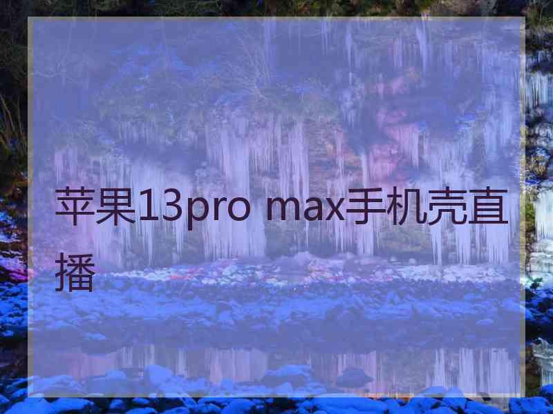 苹果13pro max手机壳直播