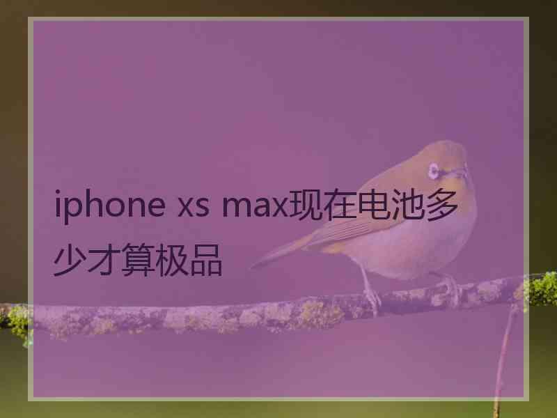 iphone xs max现在电池多少才算极品