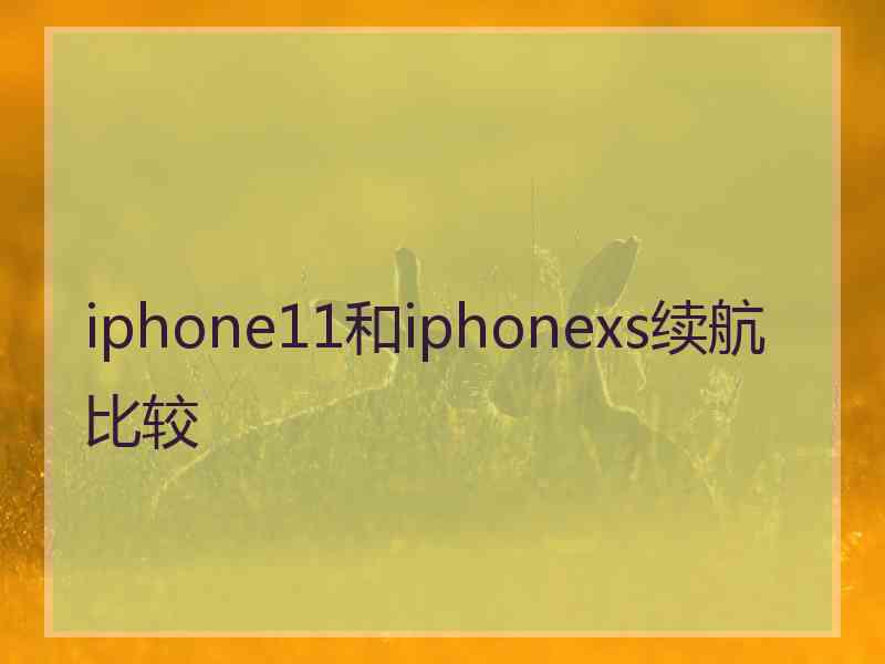 iphone11和iphonexs续航比较