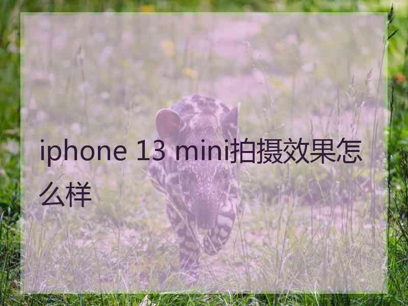 iphone 13 mini拍摄效果怎么样