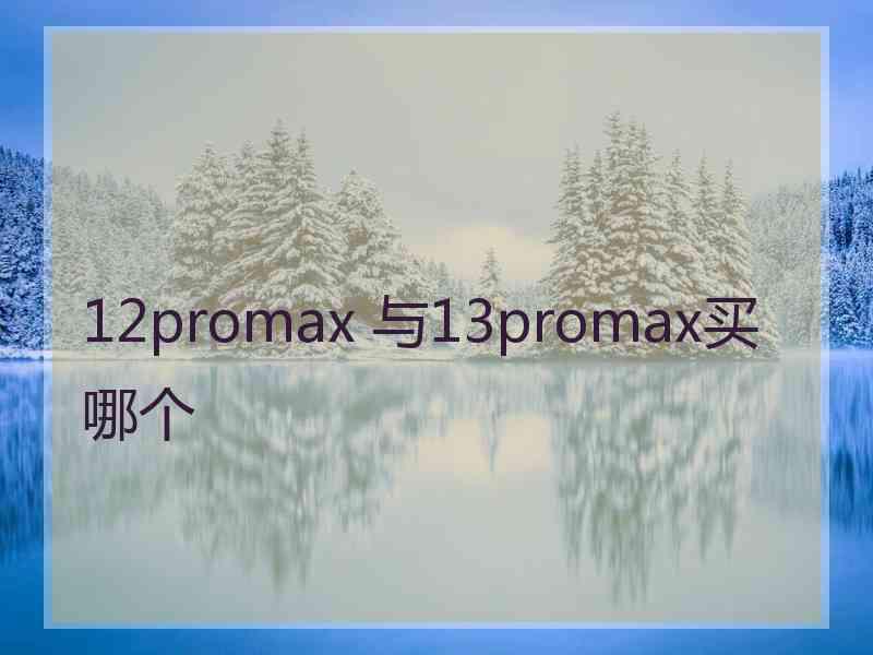 12promax 与13promax买哪个