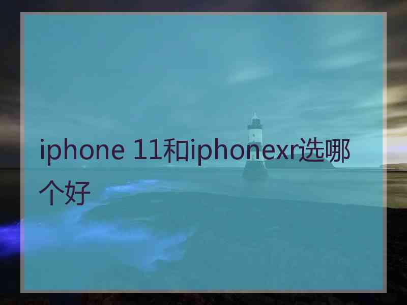 iphone 11和iphonexr选哪个好