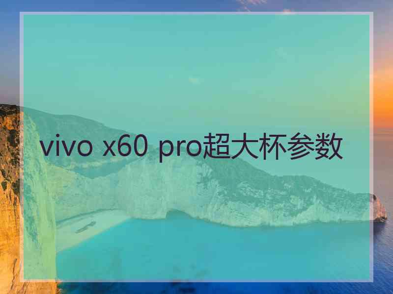 vivo x60 pro超大杯参数