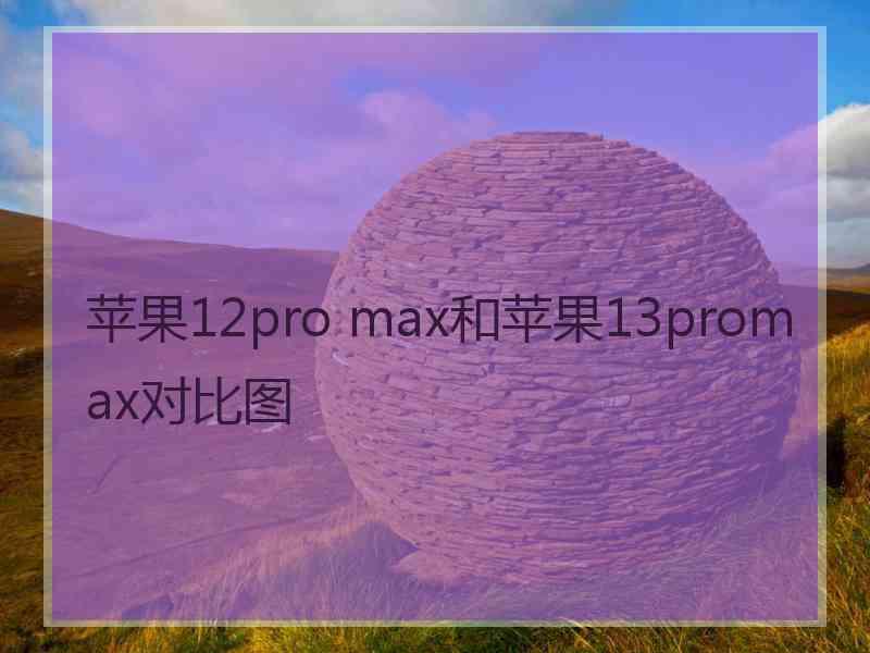 苹果12pro max和苹果13promax对比图