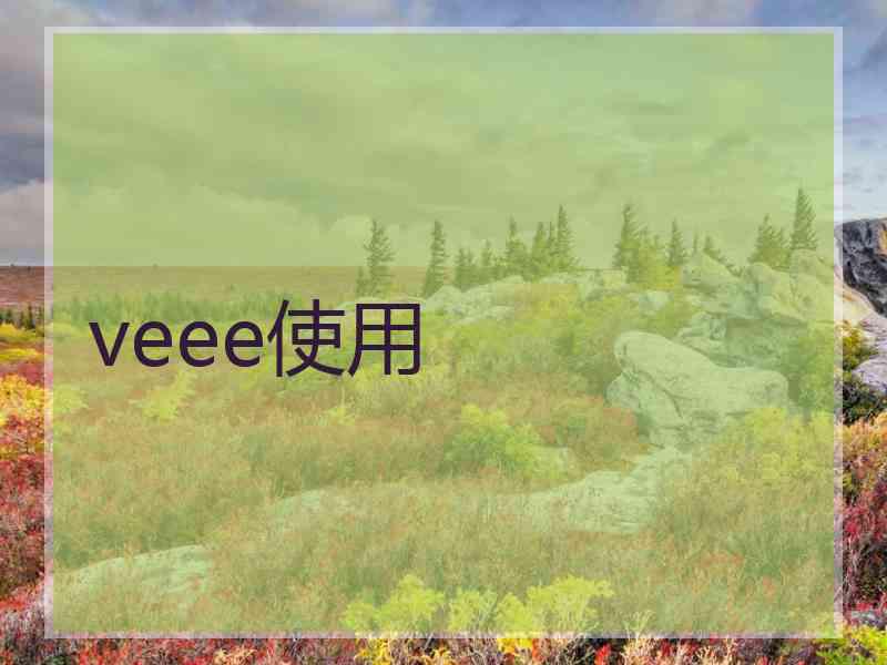 veee使用