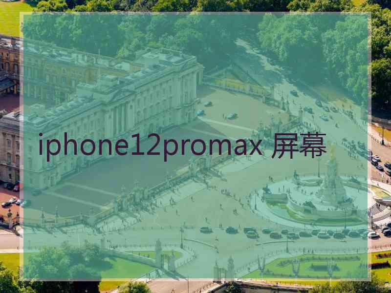 iphone12promax 屏幕