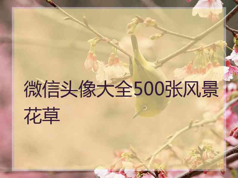 微信头像大全500张风景花草