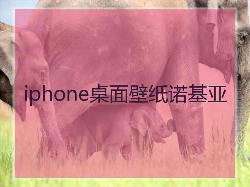 iphone桌面壁纸诺基亚