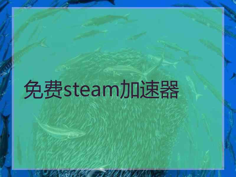 免费steam加速器