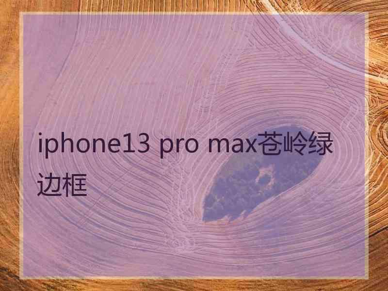 iphone13 pro max苍岭绿边框