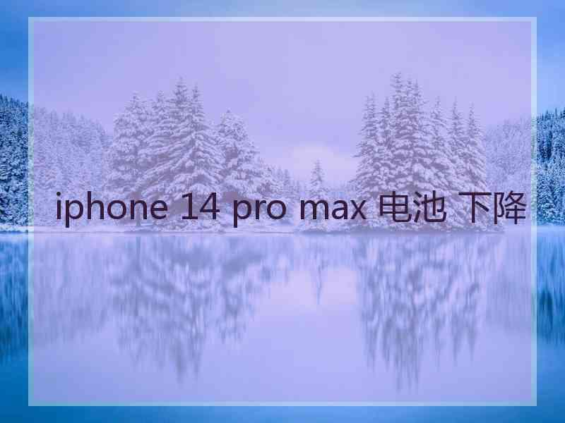 iphone 14 pro max 电池 下降