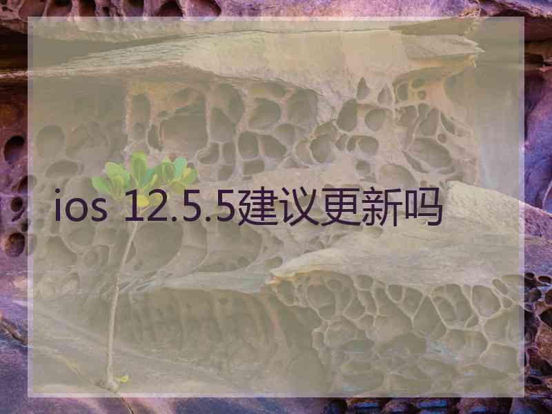 ios 12.5.5建议更新吗