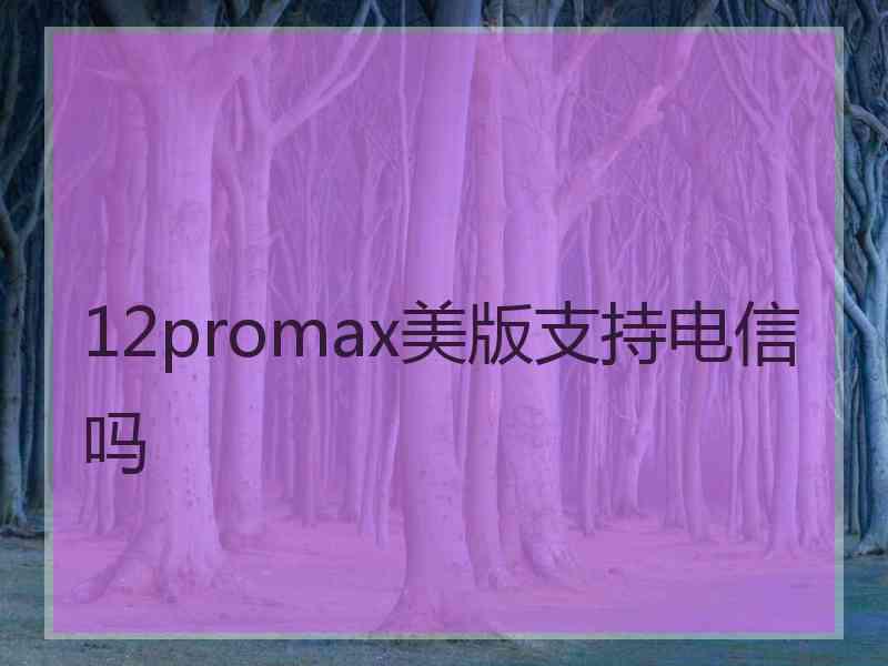 12promax美版支持电信吗