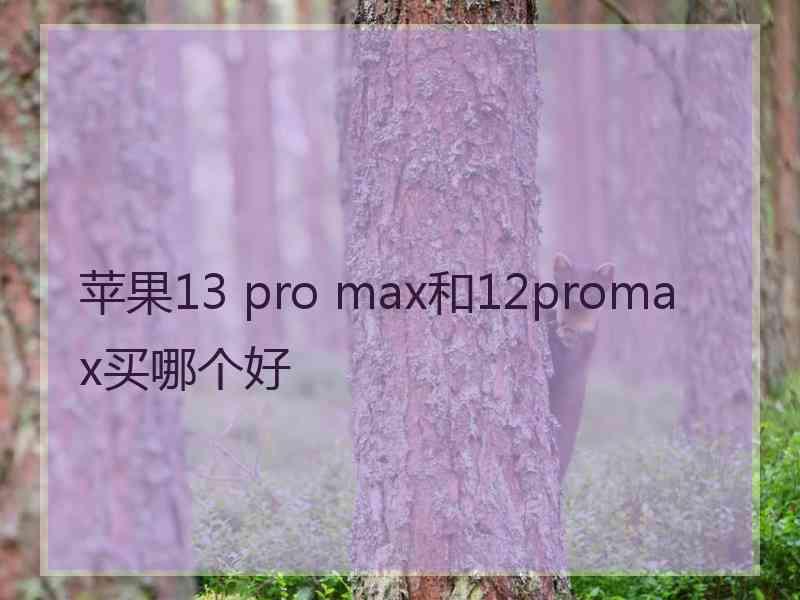 苹果13 pro max和12promax买哪个好