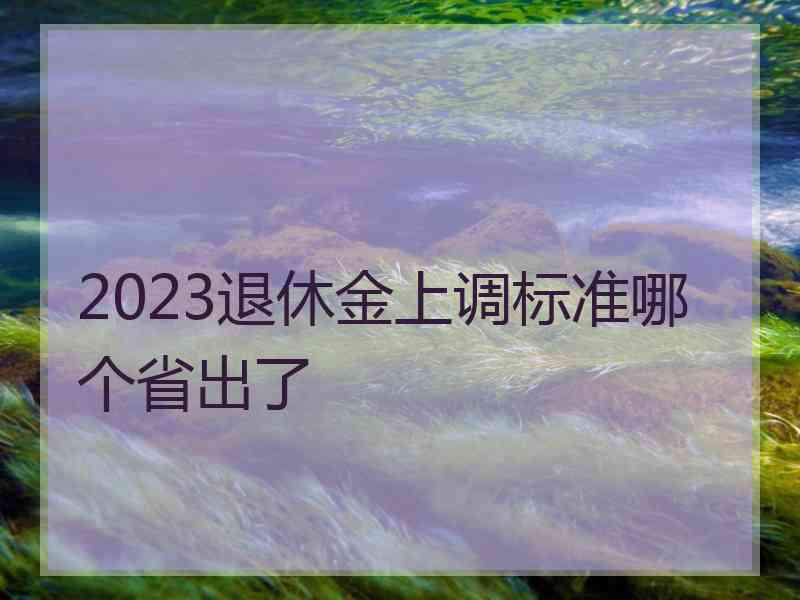 2023退休金上调标准哪个省出了