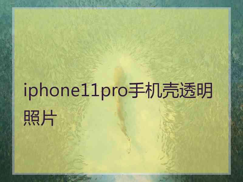 iphone11pro手机壳透明照片