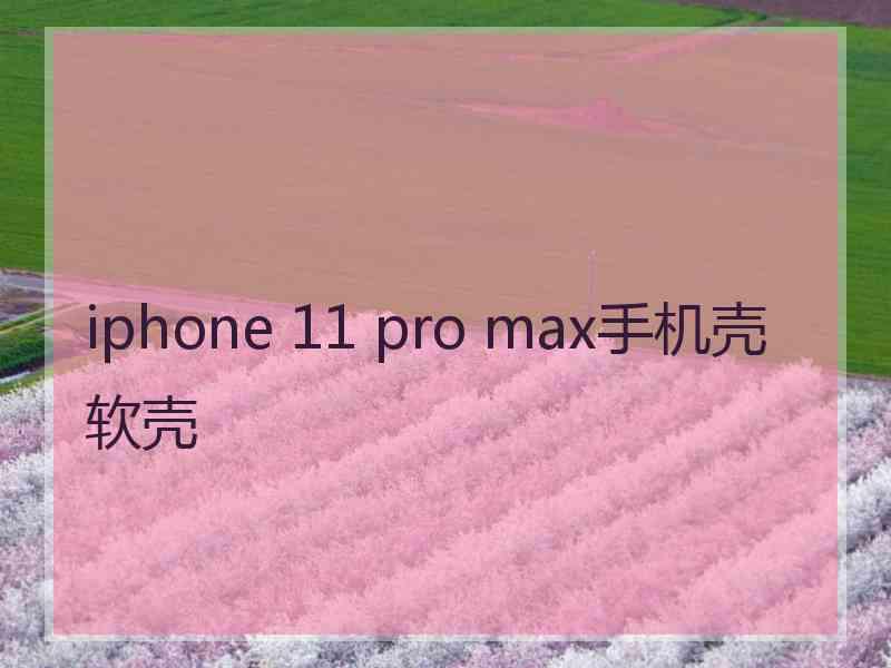 iphone 11 pro max手机壳软壳