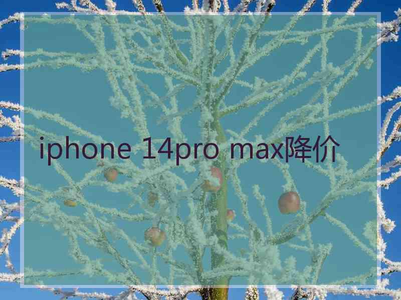 iphone 14pro max降价