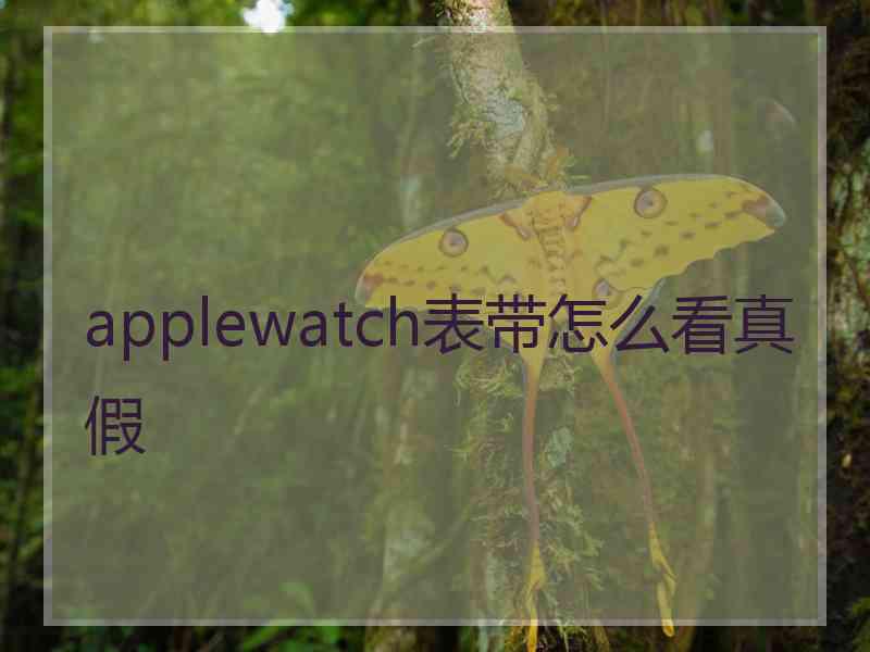 applewatch表带怎么看真假