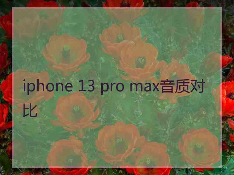 iphone 13 pro max音质对比