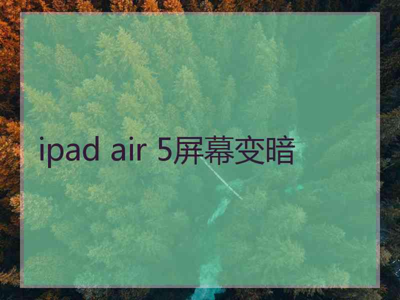 ipad air 5屏幕变暗