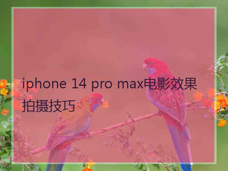 iphone 14 pro max电影效果拍摄技巧