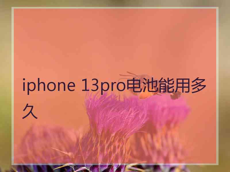 iphone 13pro电池能用多久