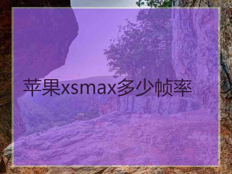 苹果xsmax多少帧率