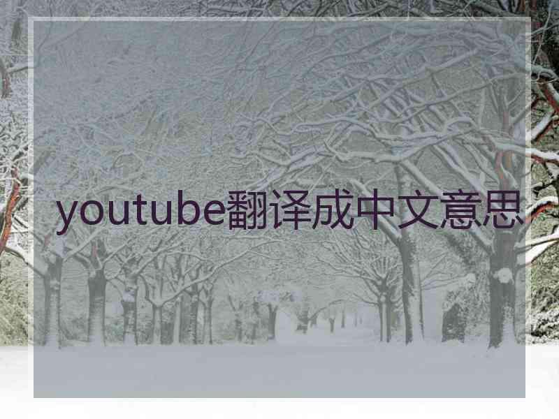 youtube翻译成中文意思