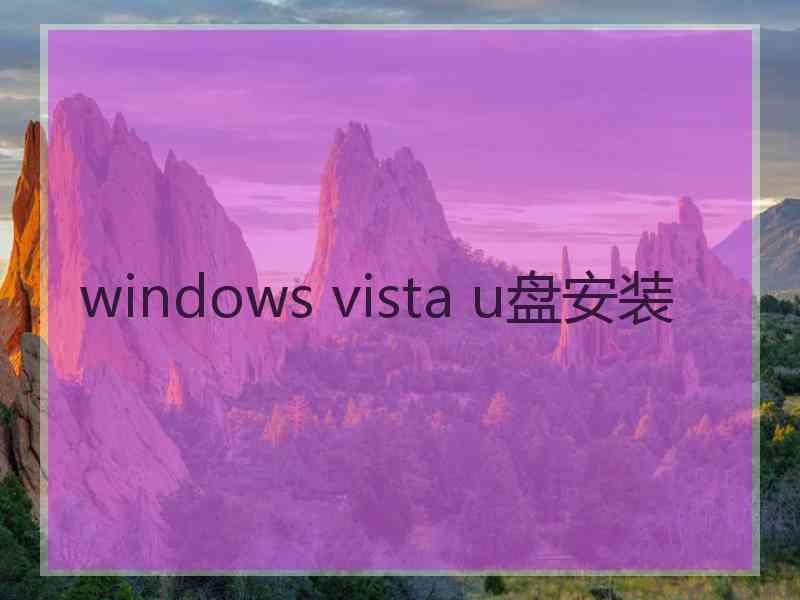 windows vista u盘安装