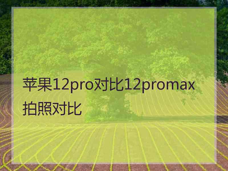 苹果12pro对比12promax拍照对比