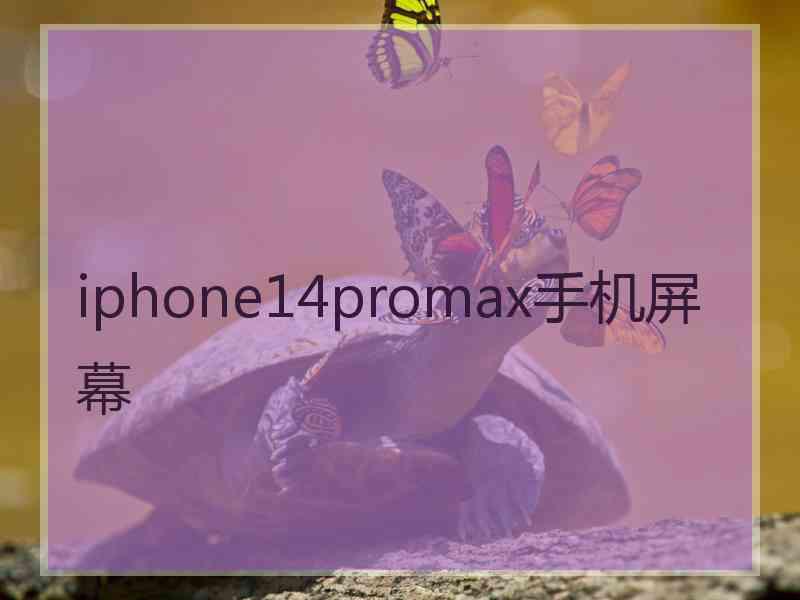 iphone14promax手机屏幕