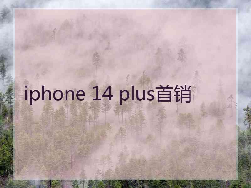 iphone 14 plus首销