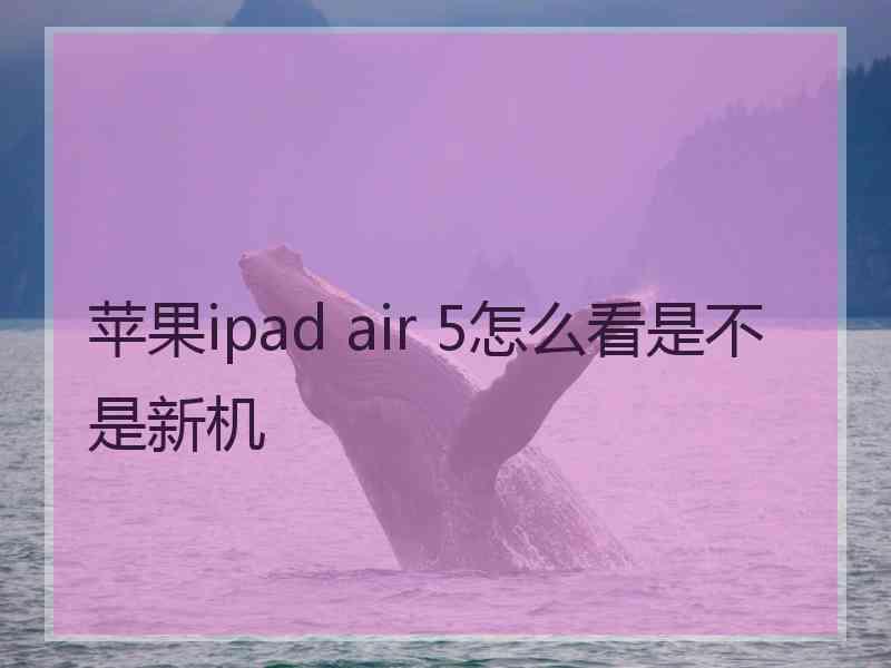 苹果ipad air 5怎么看是不是新机