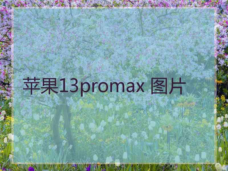 苹果13promax 图片