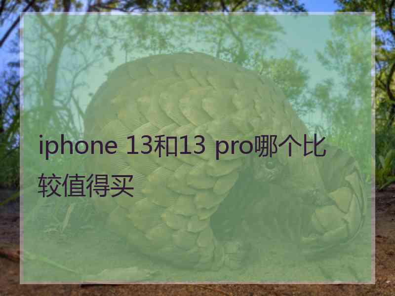 iphone 13和13 pro哪个比较值得买