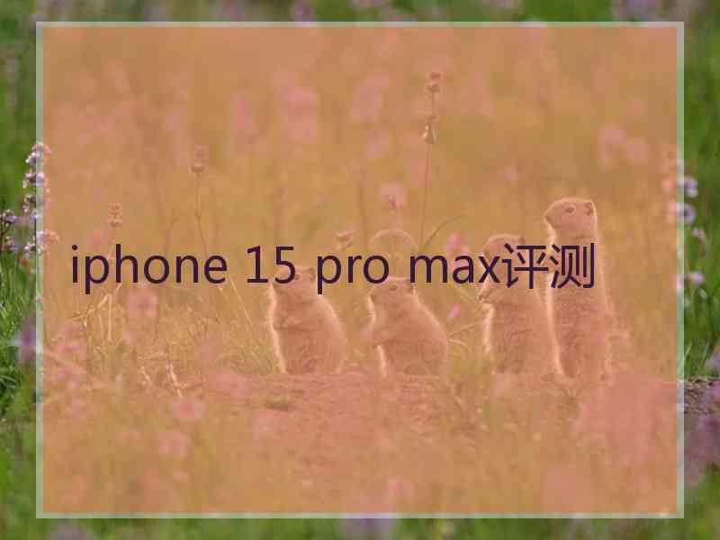 iphone 15 pro max评测 