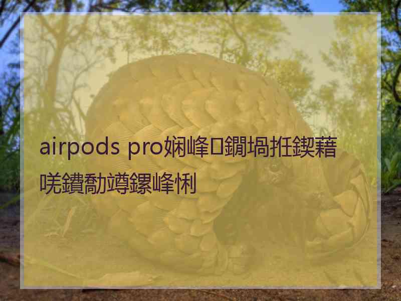 airpods pro娴峰鐗堝拰鍥藉唴鐨勪竴鏍峰悧