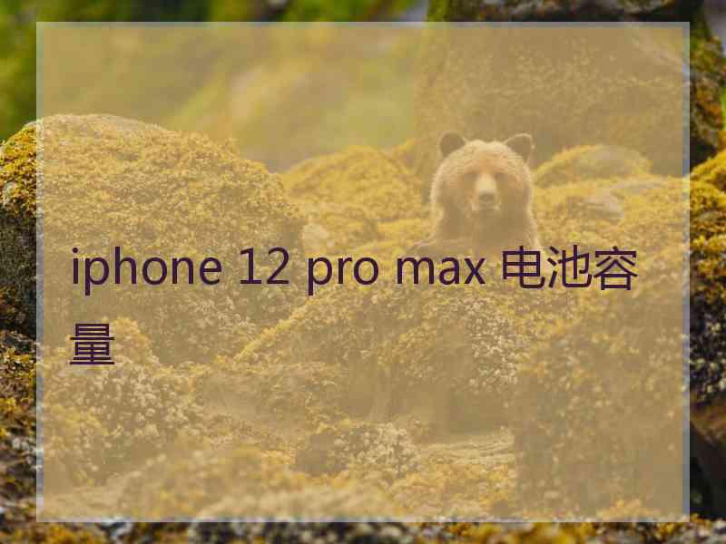 iphone 12 pro max 电池容量