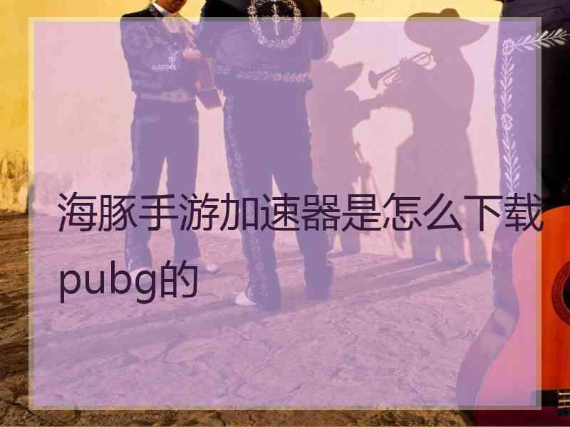 海豚手游加速器是怎么下载pubg的