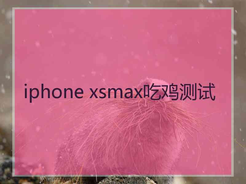 iphone xsmax吃鸡测试