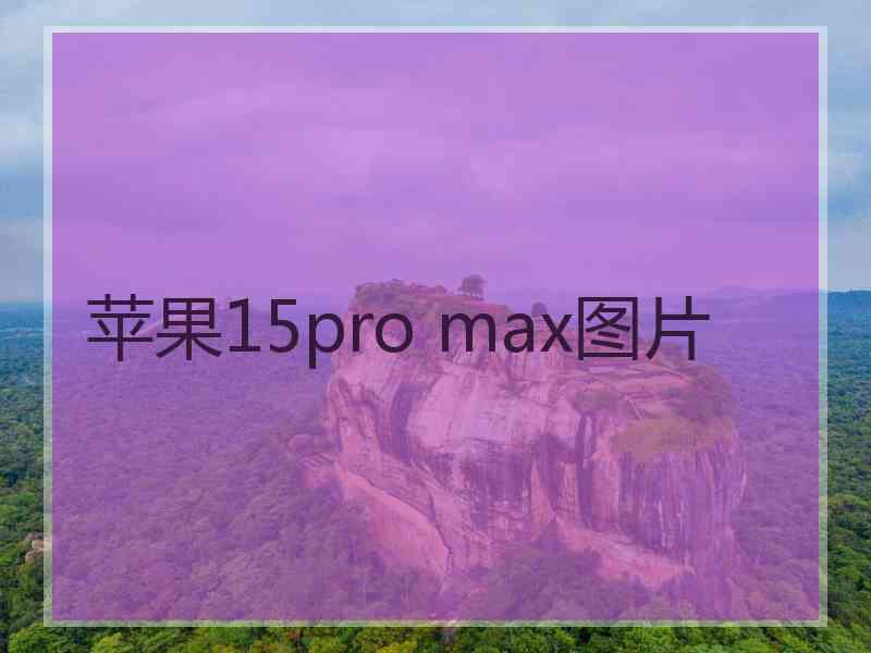 苹果15pro max图片