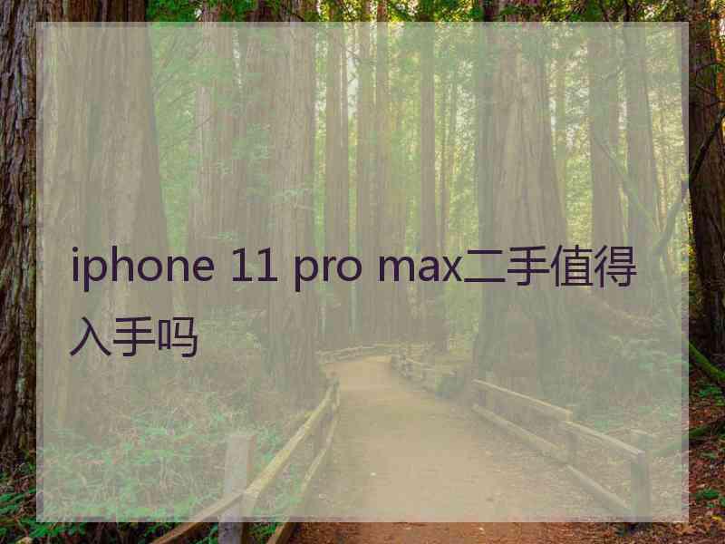 iphone 11 pro max二手值得入手吗