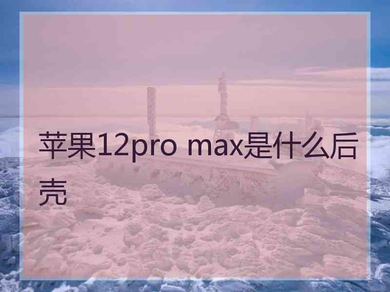 苹果12pro max是什么后壳