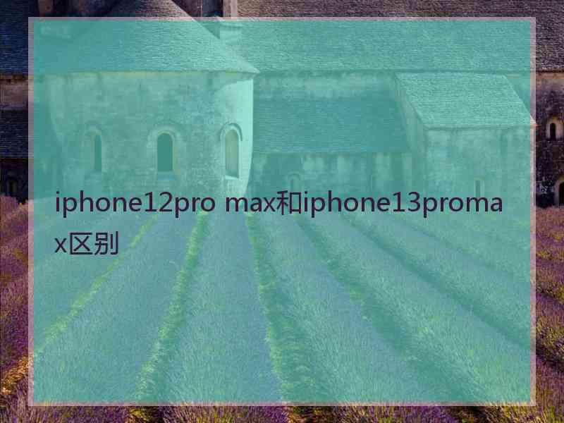 iphone12pro max和iphone13promax区别