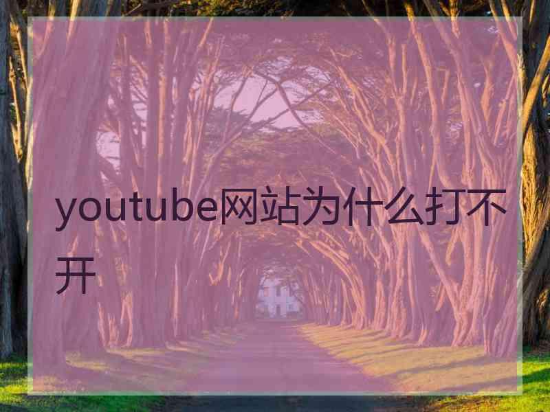 youtube网站为什么打不开