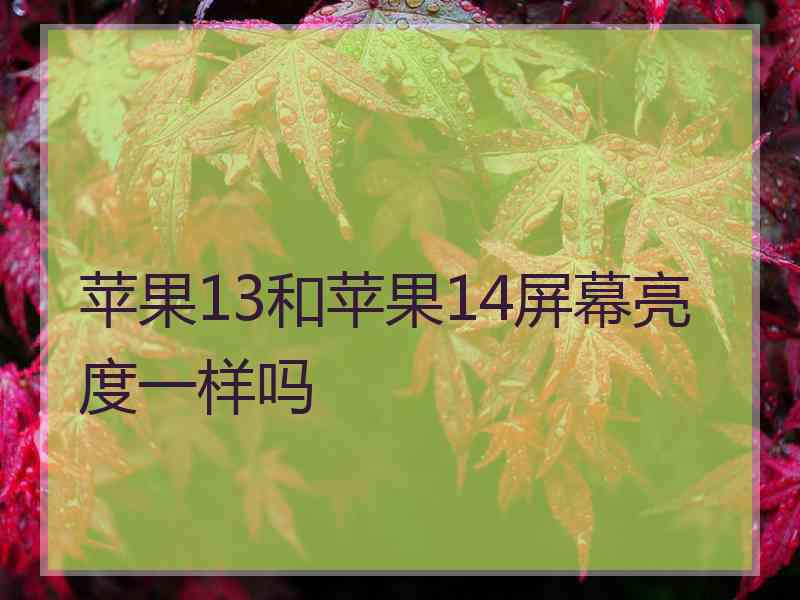 苹果13和苹果14屏幕亮度一样吗