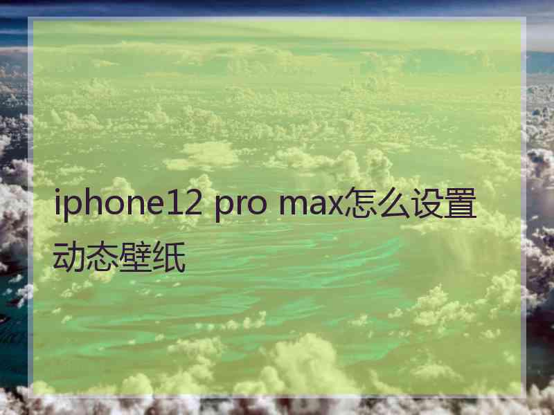 iphone12 pro max怎么设置动态壁纸